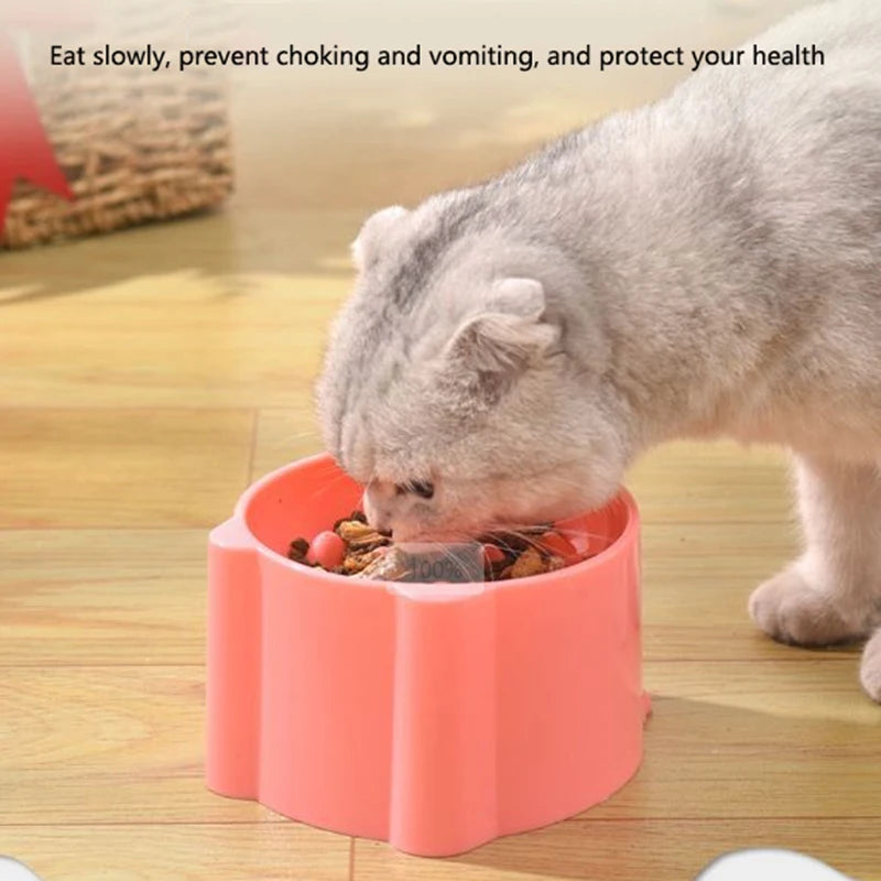 Cat And Dog Slow Feeder Bowl With Raised Neck Design