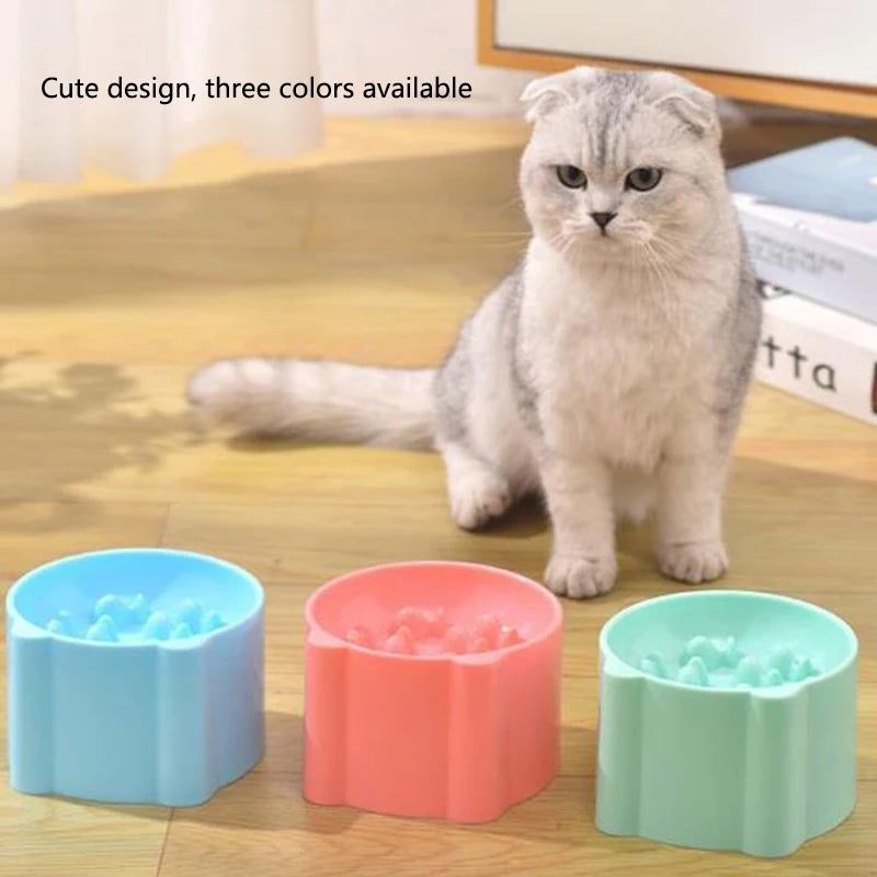 Cat And Dog Slow Feeder Bowl With Raised Neck Design